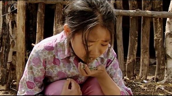 7 岁孤女吃鸡食挨打骂,拼死逃出苦海,却没想到更大的麻烦还在后面。#影视解说 #催泪 #暖春