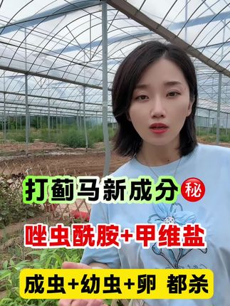 #农业主播周玲 #蓟马 #甲维盐唑虫酰胺 抗性蓟马就用它,小黄车下单有优惠