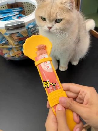 猫条活动来了,赶紧囤! #猫条 #猫零食 #吃货猫 #新手养猫 #萌宠好物