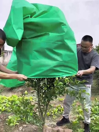 #果树植物防冻罩 #三农