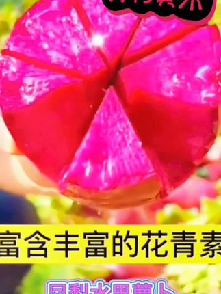 新品种萝卜 比水果好吃 入口水灵清脆甘甜 花青素特别高 是首选的萝卜籽#健康 #营养丰富 #绿色食品