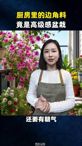 厨房里的边角料,竟是高级感盆栽#养花小知识 #养花 #花卉 #花卉绿植