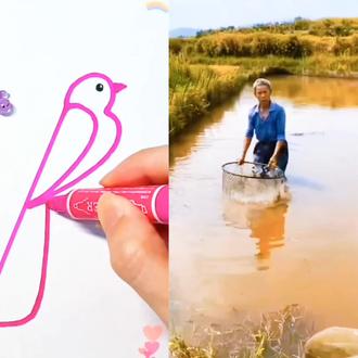 搞笑视频#搞笑 #搞笑视频 #简笔画 #简笔画教程 #搞笑动画