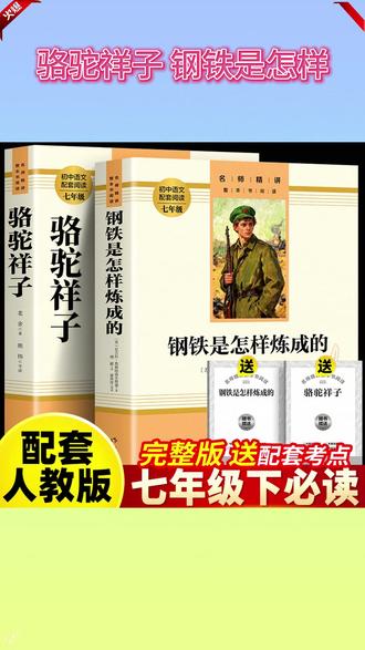 寒假不读这几本
七年级语文考试必吃亏
阅读题和作文分都藏在这里 #骆驼祥子 #钢铁是怎样炼成的