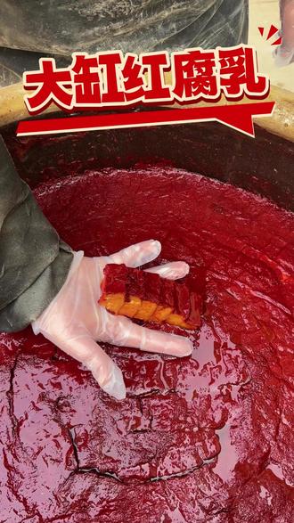 发酵了一年的大缸红腐乳终于开缸啦!#臭豆腐 #袁大鲁