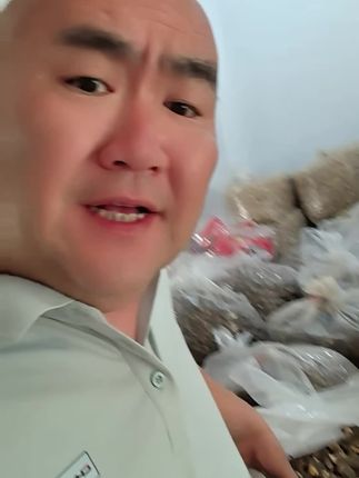 108块1斤羊肚菌(含250克羊肚菌柄)就在下方小黄车#羊肚菌