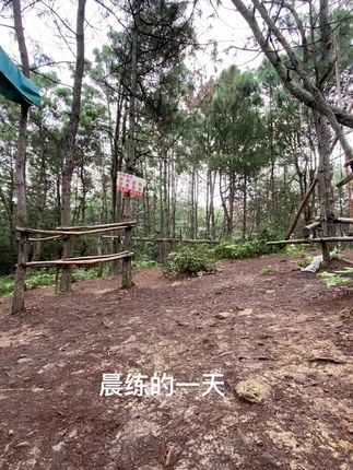 忽然发现,最懂秋天的是晨练小树林的颜色,不需要刻意追求公式,只是让颜色自己说话,不知不觉,这个秋天就被稳稳地热爱着~早安亲们!#和我一起来锻炼 #正能量运动