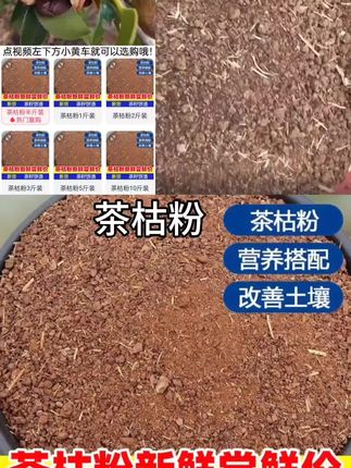 农用茶籽粉茶枯粉茶枯片茶籽粉肥料茶麸茶粕新鲜压榨茶枯片茶枯块茶饼渣#茶籽粉#茶枯粉 #茶饼#肥料#农用肥料