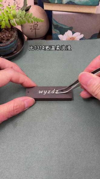 你知道wyzdz的含义是什么吗?#手工diy #情话超甜