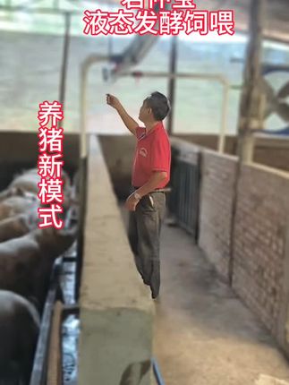 #君仲宝 #君仲宝发酵剂 #养猪新模式 #养猪新模式王老师 #君仲宝液态发酵饲喂