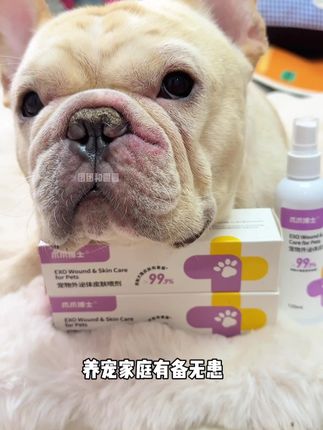 养宠家庭常备,价格划算,不要走弯路了,猫狗都能用#萌宠好物 #养狗经验分享 #养狗人