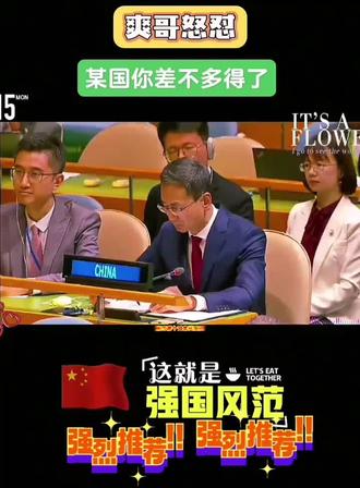 联合国大会上我们外交官的风采#强烈推荐 #快来围观