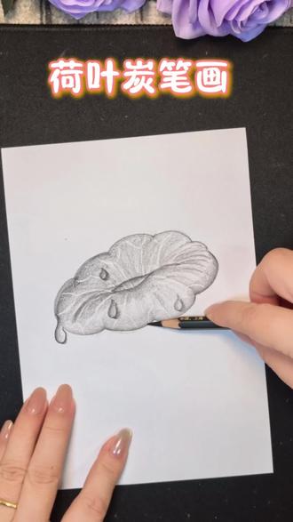 炭笔快速画荷叶#简笔画#荷叶#一学就会系列