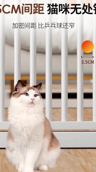 宠物围栏 宠物围栏防猫门栏狗狗栅栏隔离拦猫咪神器栏杆挡板室内狗护栏笼子#宠物安全 #猫咪隔离 #宠物笼子 #围栏挡板 #室内护栏