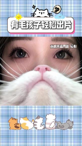 毛孩子挡脸拍?家里又猫咪狗狗的都试起来! 铲屎官的船新出片方式#猫咪 #狗#猫咪日常 #铲屎官 #拍照