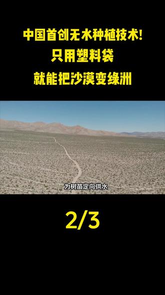 中国首创无水种植技术! 只用塑料袋 就能把沙漠变缘洲 #大国重器#大国崛起#知识分享#科普#科普一下