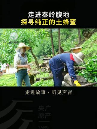 秦岭留坝棒棒蜜一年只取一次蜜,采集秦岭深山野花之精华,酿制而成300多天,口感芳香浓郁你值得拥有……#三农#秦岭土蜂蜜 #土蜂蜜