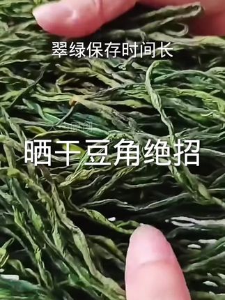 家里豆角吃不完晒成干豆角好吃保存时间长 #晒干豆角 #自制干豆角 #豆角保存方法 #干豆角吃法 #我的乡村生活