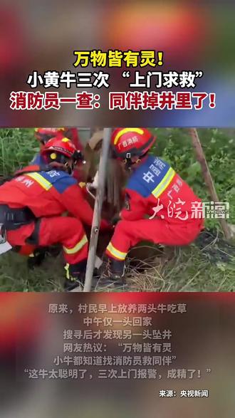 万物皆有灵…🤔️ #万物皆有灵 #暖心救援现场