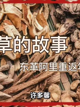 带您认识一款神奇的植物#东革阿里 #馨百草 #香灸配方 #涨知识 #每天跟我涨知识