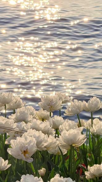 荷兰进口#指甲笔 手上脚上指甲有变了颜色不好看的,都赶紧去试试这个。#护甲 #足部护理