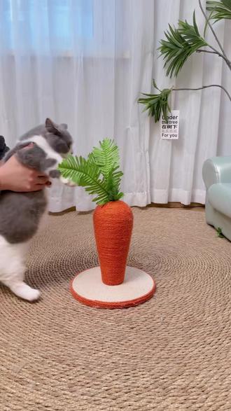 超耐用不掉屑!胡萝卜造型猫抓柱,猫咪超爱!
#耐抓猫抓板 #耐用猫抓板 #不掉屑猫抓板 #猫咪快乐屋 #猫咪新宠