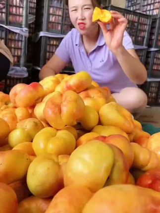 【云阳专拍】黄蟠桃果园现摘现发当季新鲜脆甜水果#优质农产品 #新鲜采摘 #脆甜多汁 #创作者扶持计划 #原创视频