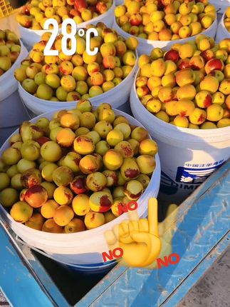 陕西大荔冬枣,现摘现发,#强烈推荐 #优质农产品 #口感特别好 #新鲜采摘 #快来一起尝个鲜