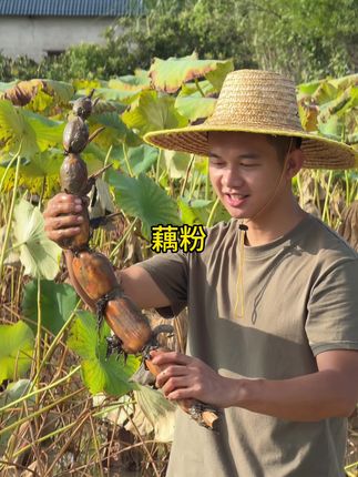 老妈说从来没吃过藕粉,趁着挖藕的时节,于是就做给她尝尝 #藕粉 #抖音美好丰收节 #抖音新农人 #星农人星乡村 #丰收中国2025