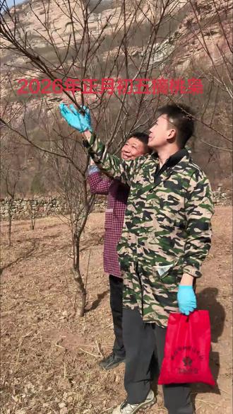 正月初五,摘一枝桃枭,
采一缕初春阳气,藏一整年平安顺遂。
旧岁尘嚣尽破,新岁清宁自来,
愿此后,岁岁无忧,岁岁安然。