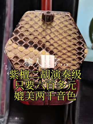 专业演奏级二胡,大师级音质震撼来袭! 想学好民族音乐却没合适工具?这款乐器帮你解决难题!
