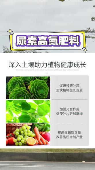 绿植叶菜长不快、花卉不发枝?这款优肽氮绝了!#花卉绿植 #养花种菜