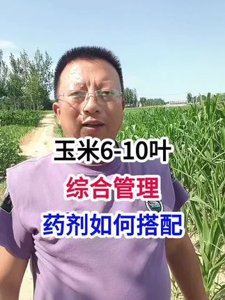 玉米6-10叶,综合管理,药剂如何搭配 玉米6-10叶,综合管理,药剂如何搭配#玉米种植 #玉米种植技术 #马哥聊农业 #玉米高产种植技术 #农技知识分享