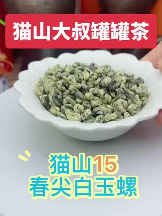 猫山15白玉螺,嫩芽头制作叶肥叶厚,耐煮耐泡,鲜爽度高#春尖茶 #罐罐茶#喜欢喝茶关注我