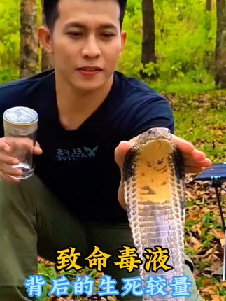 致命毒液背后的生死较量#科普 #涨见识
