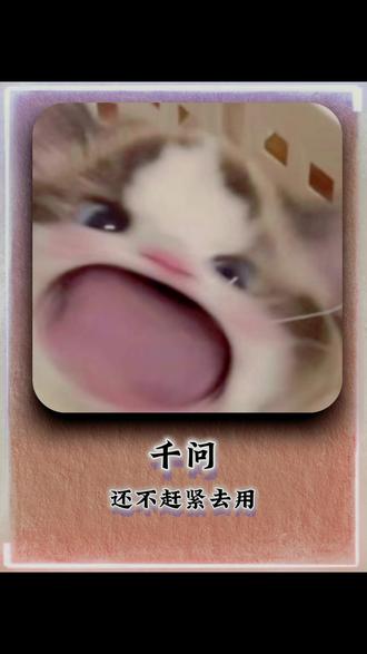 还不赶紧去用 #阿里千问 #闪购外卖 #千问爽文大女主