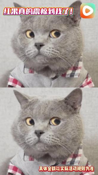 碎片时间狂喜!红果短剧越追越上瘾-xm #红果短剧#你的短剧搭子