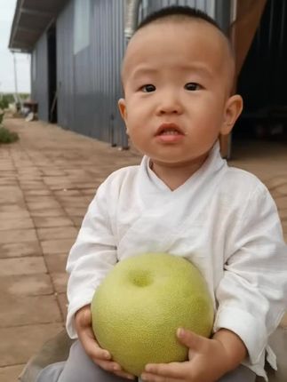 @小龙哥❤ #福建仙游杜伟文丹柚子#天柱山#逸品山庄#抖音助农