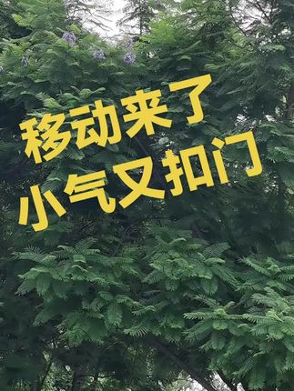 #自然美景