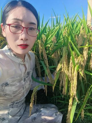 玮两优2268#抖音助农 #三农 #水稻种植 #抖音助农扶农 #服务三农