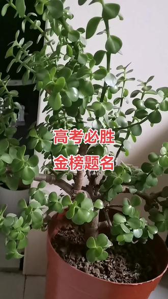 山西学子高考必胜,金榜题名