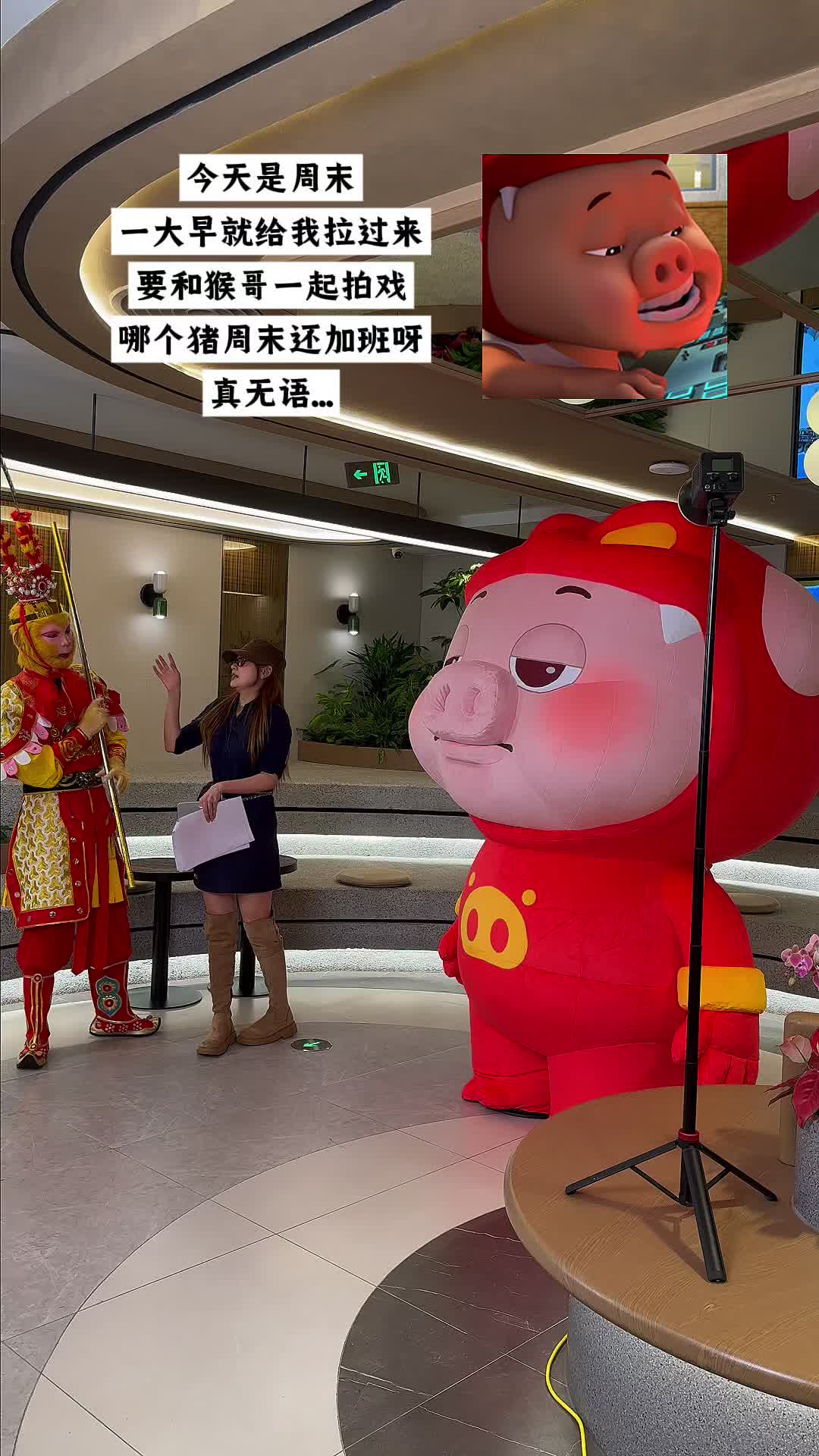 周末要上班,猪都笑不出来#猪猪侠新电影现场下猪了 #猪猪侠一只老猪的逆袭 #猪猪侠新电影