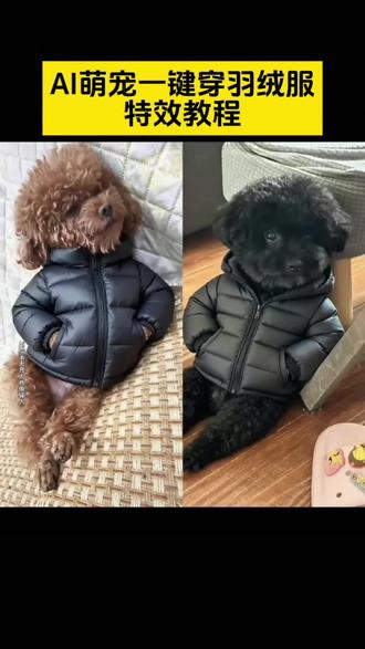 AI萌宠一键穿羽绒服特效教程来了、AI萌宠一键穿羽绒服、ai萌宠穿羽绒服特效、#即梦ai、#萌宠穿羽绒服特效教程、#宠物加绒外套、#ai萌宠一键穿羽绒服、#狗狗冬季羽绒服特效、宠物狗保暖外套、萌宠穿羽绒服特效入口、狗狗穿羽绒服教程来了、萌宠保暖羽绒服特效、AI宠物羽绒服一键生成、猫咪穿羽绒服特效教程、萌宠冬季加绒外套特效、AI狗狗保暖羽绒服入口、即梦AI宠物穿衣教程、宠物羽绒服虚拟试穿、萌宠变装羽绒服特效、狗狗加绒保暖外套AI特效、AI猫咪冬季羽绒服教程、萌宠穿羽绒服特效免费、即梦AI萌宠换装、宠物保暖羽绒服一键生成、狗狗穿羽绒服AI教程、萌宠加绒羽绒服特效入口、AI宠物冬季保暖外套特效、猫咪加绒羽绒服一键特效、萌宠羽绒服穿搭特效、狗狗羽绒服AI虚拟试穿、即梦AI萌宠穿羽绒服教程、宠物冬季保暖特效、AI萌宠羽绒服变装教程、猫咪冬季保暖外套特效、狗狗加绒羽绒服特效、萌宠穿羽绒服AI工具、AI宠物羽绒服穿搭教程、即梦AI宠物保暖特效、狗狗穿羽绒服特效入口、萌宠加绒外套AI生成、AI萌宠冬季穿搭、猫咪穿羽绒服AI教程