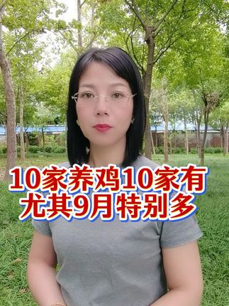 10家养鸡10家有,尤其9月10月更是多#养鸡人#养殖户