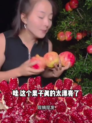 四川高山老树软籽石榴纯甜应季水果产地直发CC1