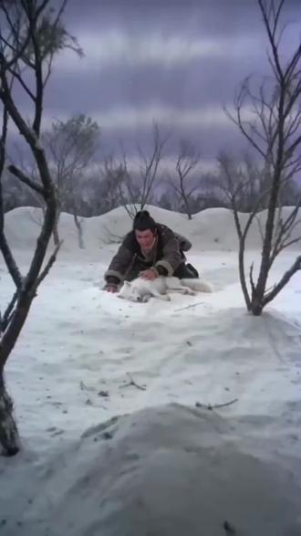 雪山狐狸复仇记 #雪山狐狸 #酱板鸭 #反转