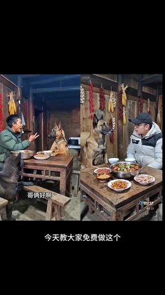 AI与疯狂马犬划拳喝酒特效教程!狗喝酒喝醉了搞笑视频 #狗喝多了耍酒疯ai #即梦AI #AI分身戏精大赛 #我的AI分身杀疯了 狗喝酒醉了耍酒疯 #马犬划拳喝酒 疯狂的马犬ai 马犬霸道 马犬划拳喝酒ai教程