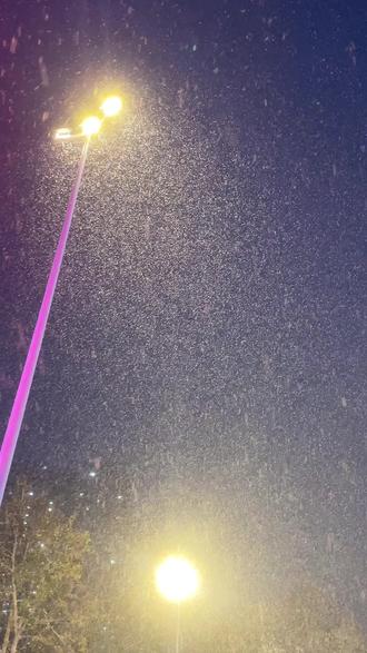 冬有冬的来意,雪有雪的秘密。❄️2025.12.12初雪❄️#雪落的声音 #2025年第一场大雪