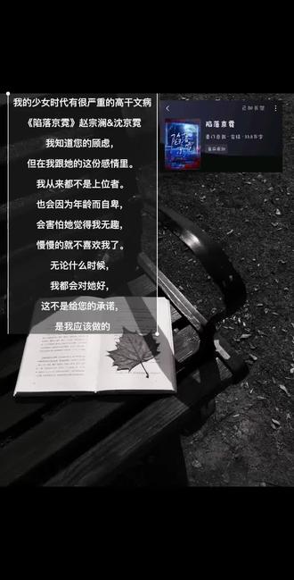 我的少女时代#小说推荐 #陷落京霓 #年上#高干