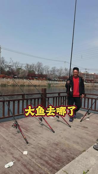 今天铃铛一直响应该都是小家伙#钓鱼#户外钓鱼#海杆钓大鱼 #小爆炸